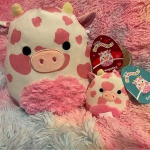Evangelica squishmallow bundle